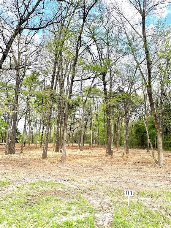 LOT 117 Watersedge Dr Bs# A37, Corsicana, TX 75109 - photo 6