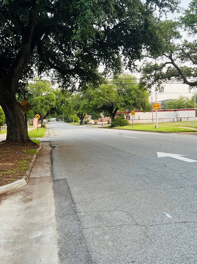 413 N Jackson St, Albany, GA 31701 - photo 3