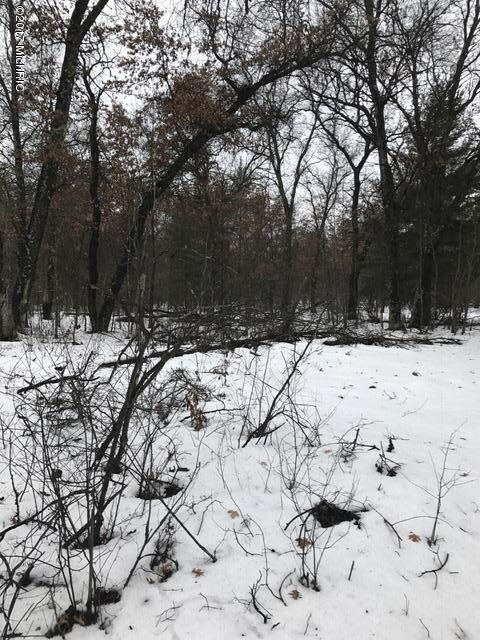 1946 E 68th St, Idlewild, MI 49642 - photo 2