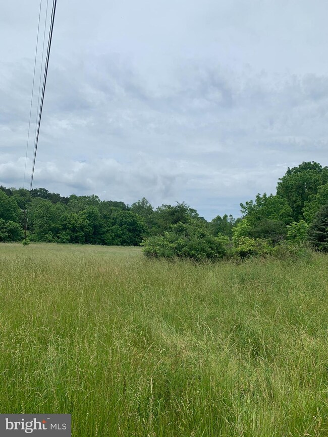 0 Reliance unit VAWR143816, Front Royal, VA 22630 - photo 4