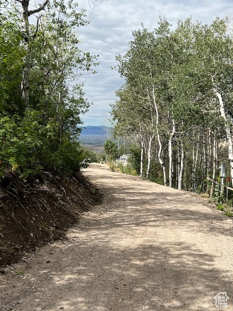 1 Archies Hideaway, Fairview, UT 84629 - photo 4