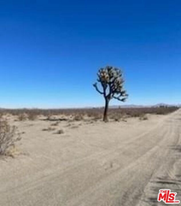 0 Saxon Rd unit 25628025, Adelanto, CA 92301 - photo 6