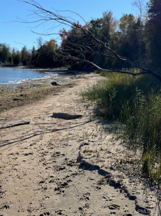 TBD E State Highway M35, Menominee, MI 49858 - photo 3