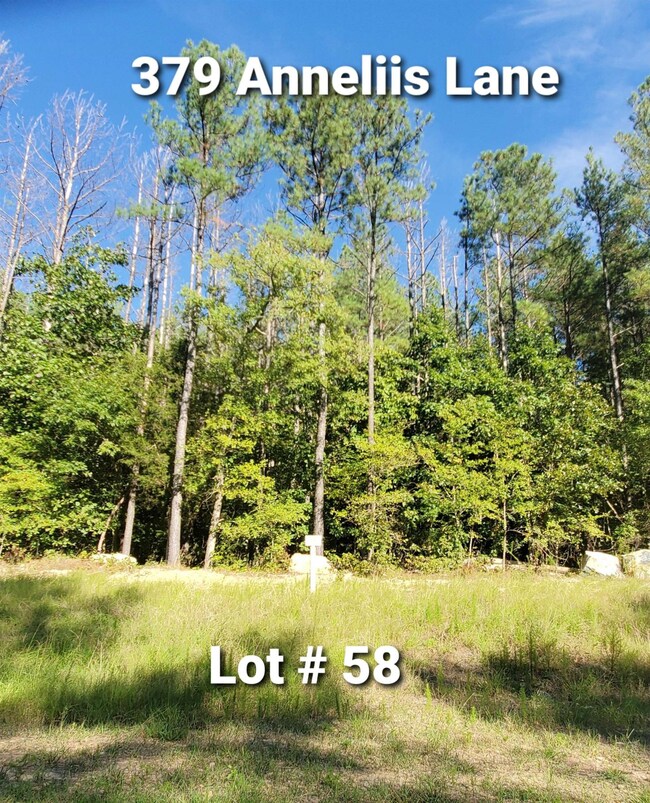 379 Anneliis Ln, Siler City, NC 27344 - photo 2