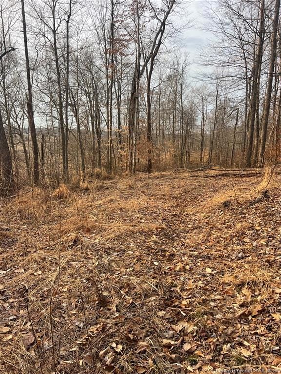 0 Hwy 135 unit Tract 2 2025011289, New Salisbury, IN 47161 - photo 6