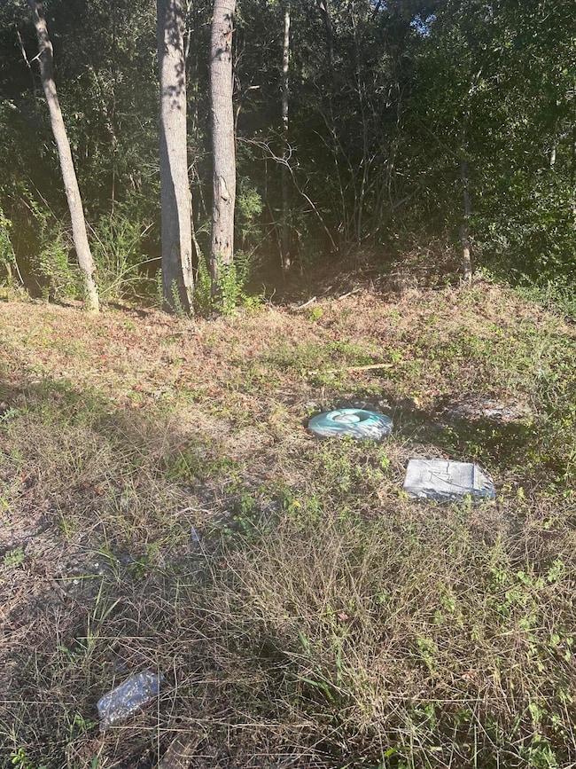 220 N Highway 52, Moncks Corner, SC 29461 - photo 3