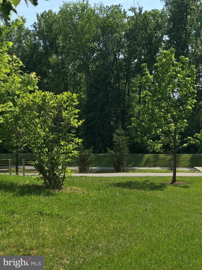 112 Thomasson Ct, Capitol Heights, MD 20743 - photo 4