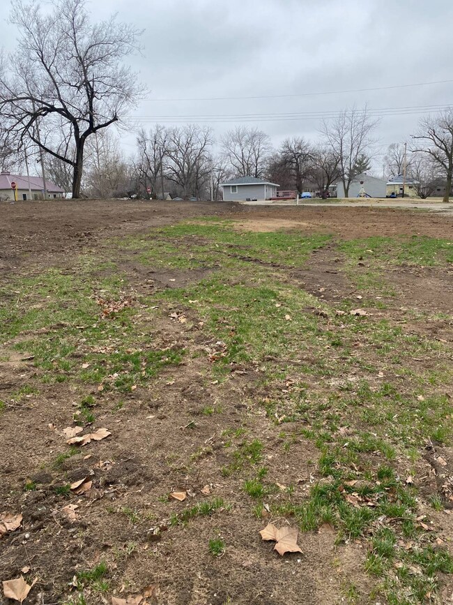 328 S N Washington St, Meredosia, IL 62665 - photo 6