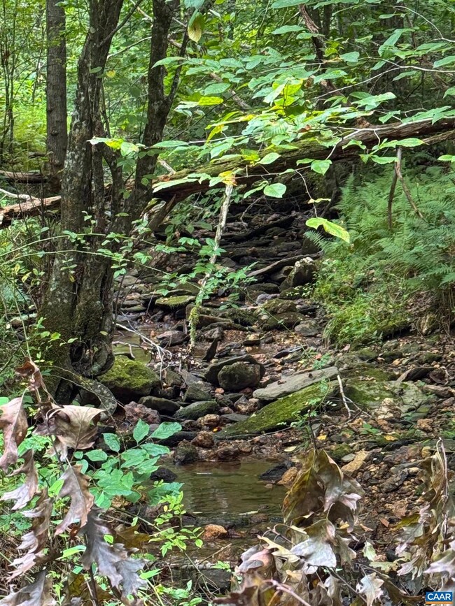 TBA Old Green Mountain Rd unit 500, Esmont, VA 22937 - photo 6