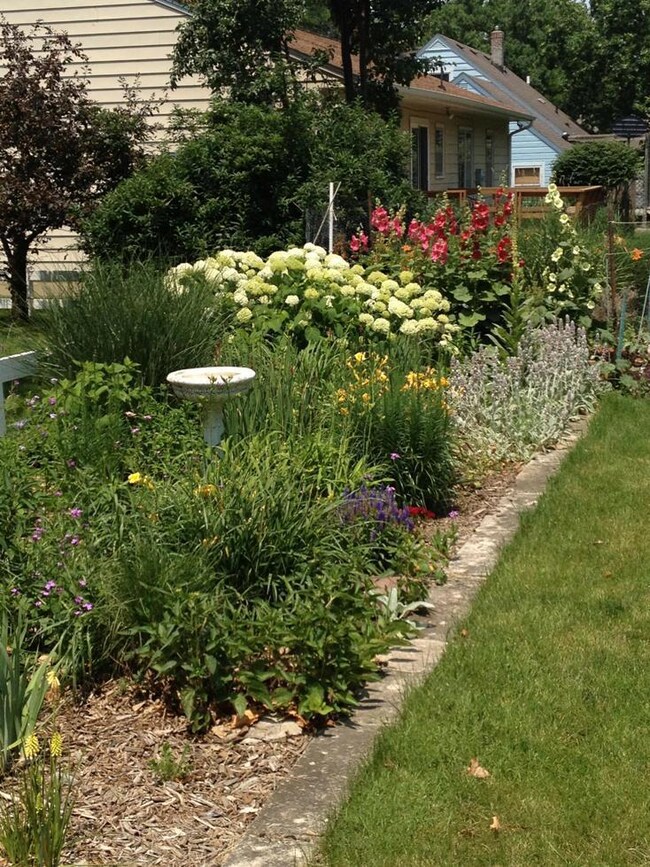 Garden3