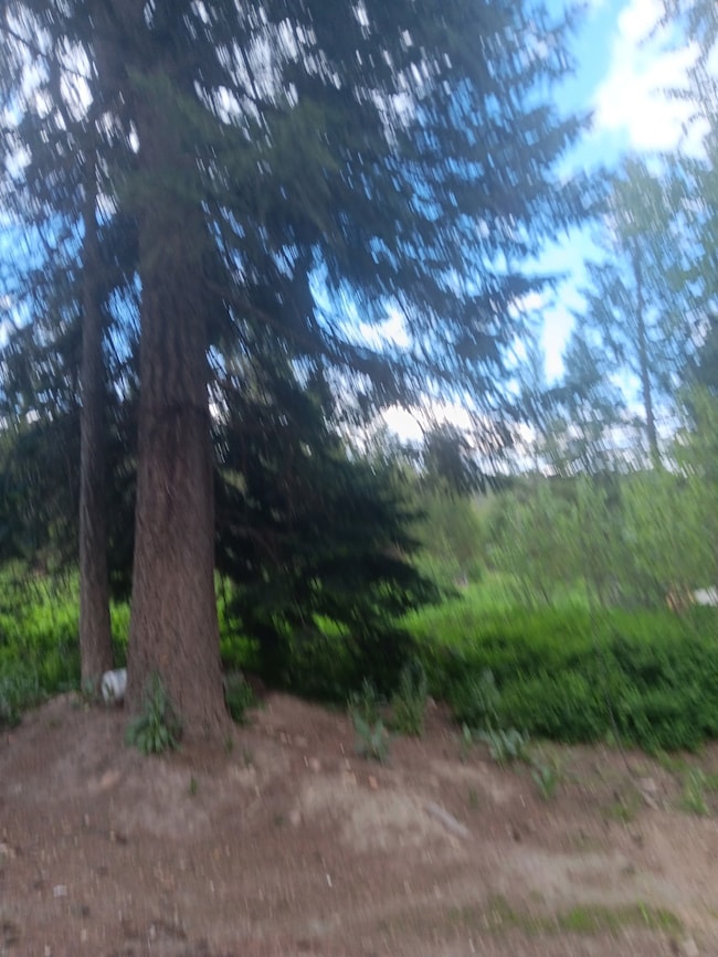 763 Upper Cotton Ln, de Borgia, MT 59830 - photo 4