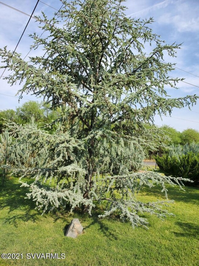 Resized952021061595082918