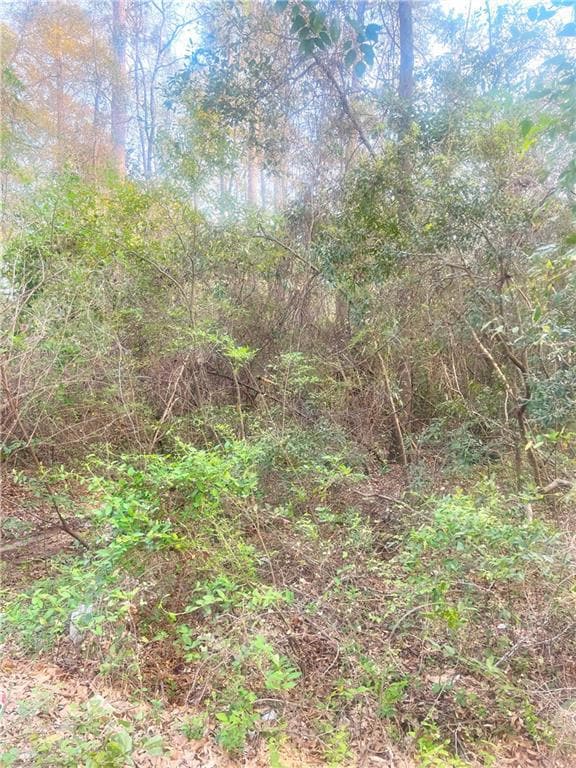 4th Shadowridge Ln, Phenix City, AL 36869 - photo 4