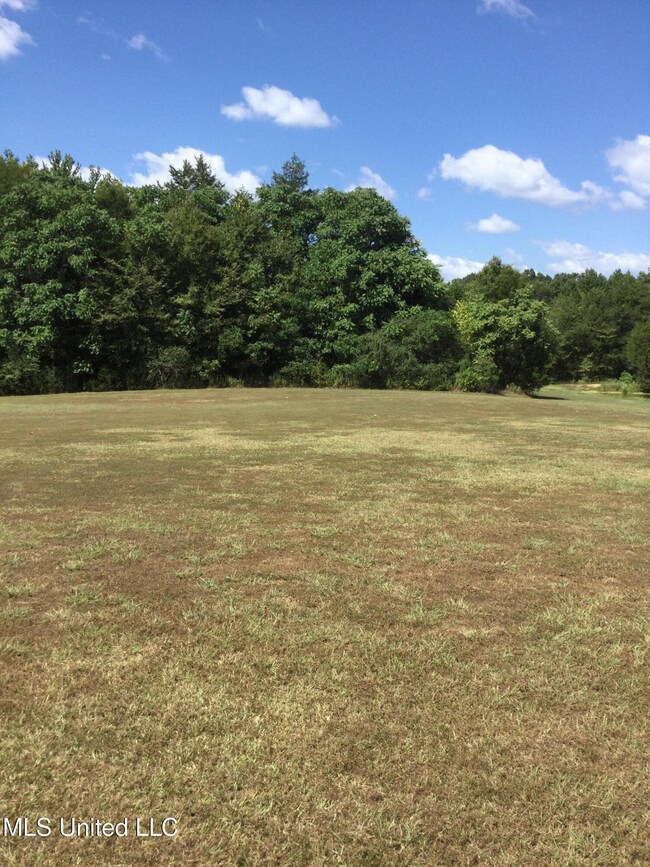 0 Rowell Rd unit 4089133, Coldwater, MS 38618 - photo 4