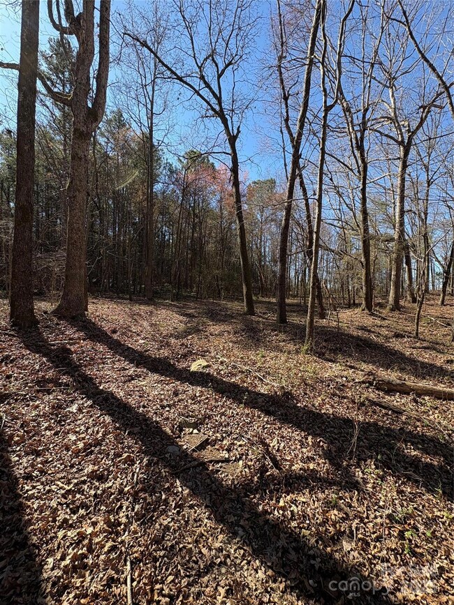 1417 Ellis Griffin Rd, Wingate, NC 28174 - photo 7