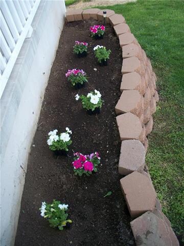 824 Old Paint Rd, Raymore, MO 64083 - photo 3