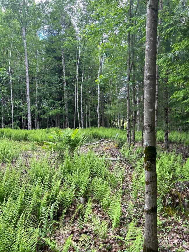 18 Shady Ln, Lisbon, ME 04250 - photo 4