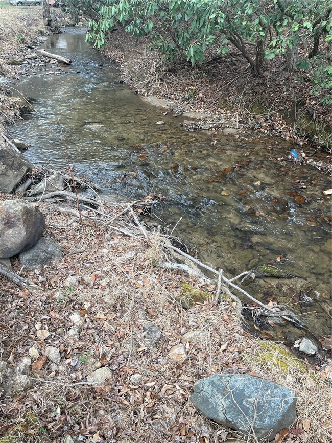 Old 421 Boone Trail, Purlear, NC 28665 - photo 6