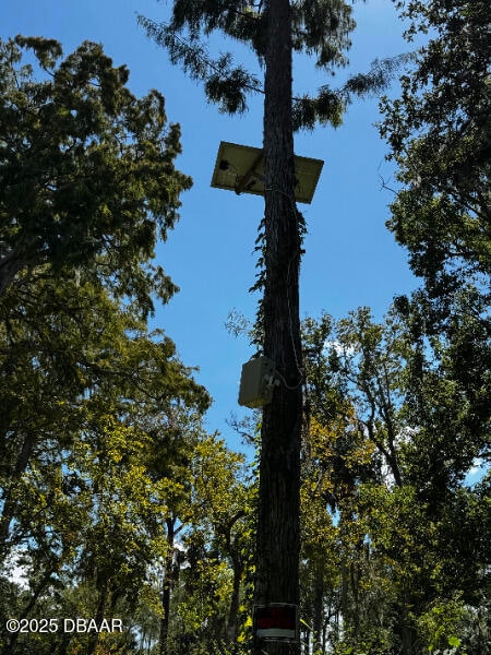 0 Shady Place, Daytona Beach, FL 32114 - photo 6