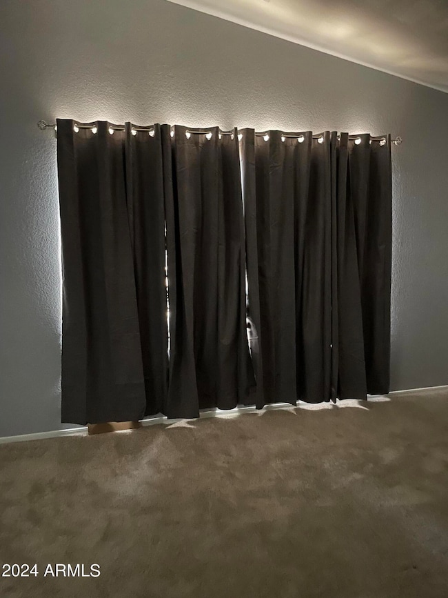 74413989020__CD007878-C94D-4684-BB3A-111