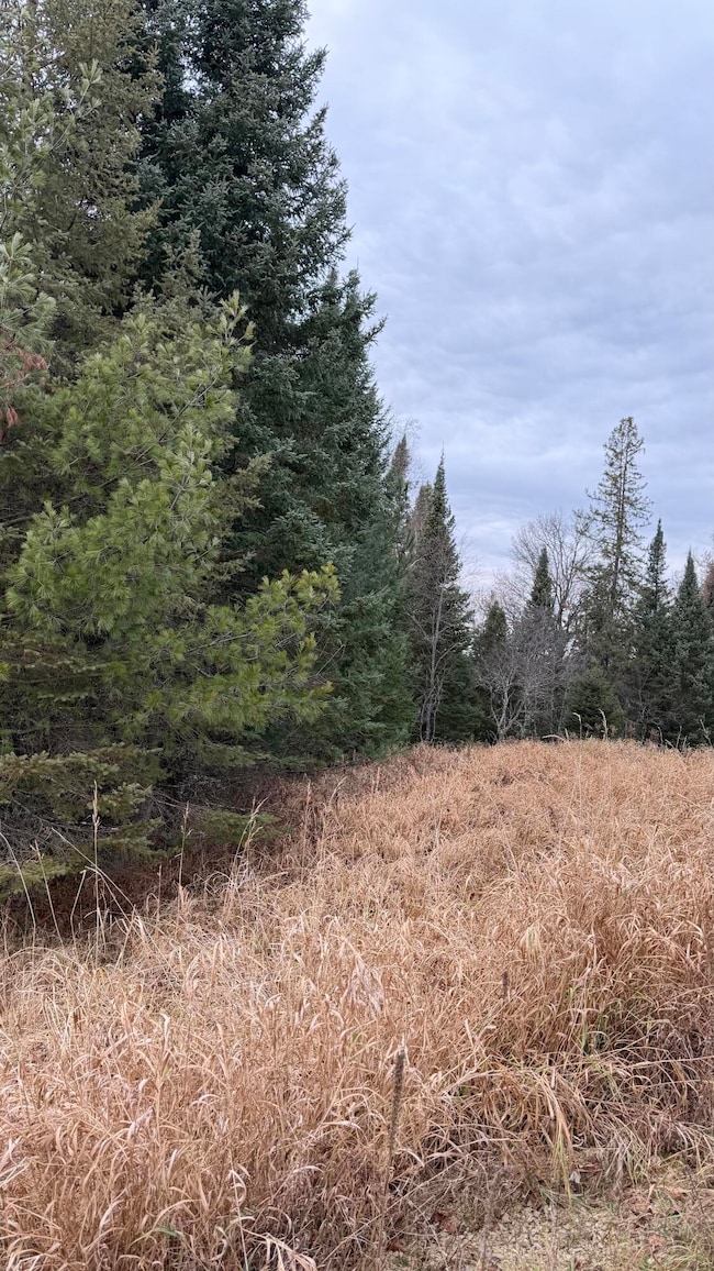 Lt3 Boat Landing 11 Rd, Athelstane, WI 54104 - photo 7