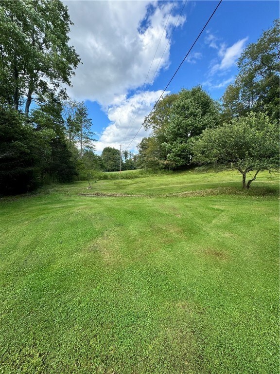Side yard