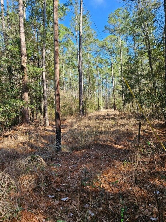 68042 S Strain Rd, Mandeville, LA 70471 - photo 4