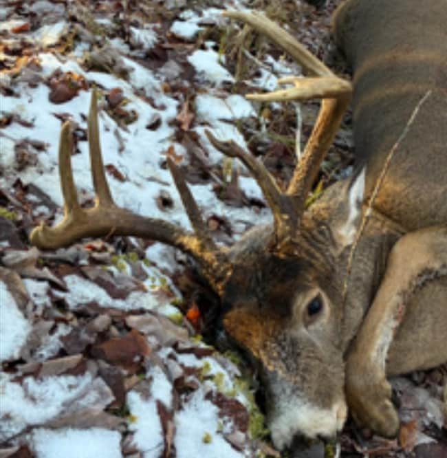 Eben-Trenary Road Lot unit WP001, Trenary, MI 49891 - photo 4