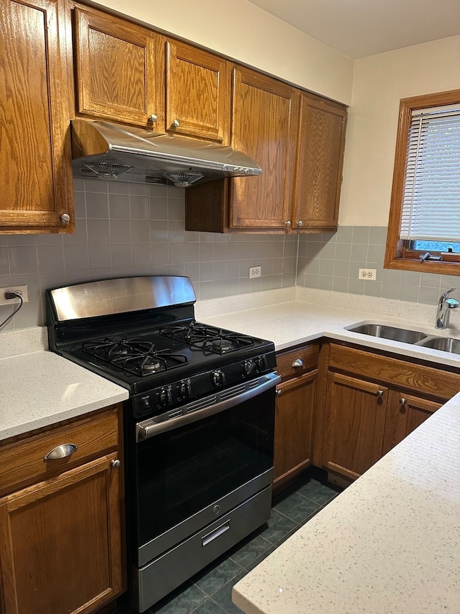 unlisted-address, Chicago, IL 60616 - photo 3