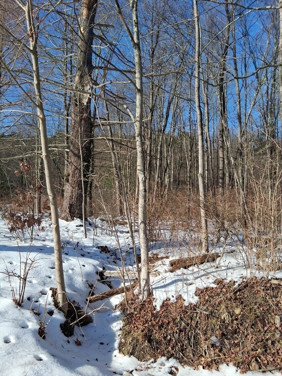 17 Maple St, Southampton, MA 01073 - photo 7