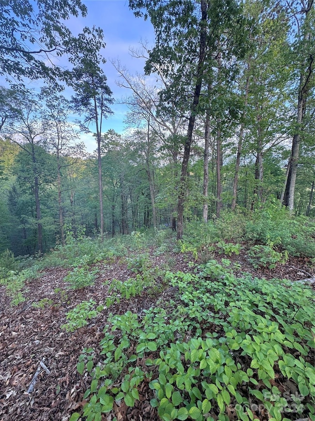 0 Willow Top Ln unit 315 CAR4131489, Lake Lure, NC 28746 - photo 5