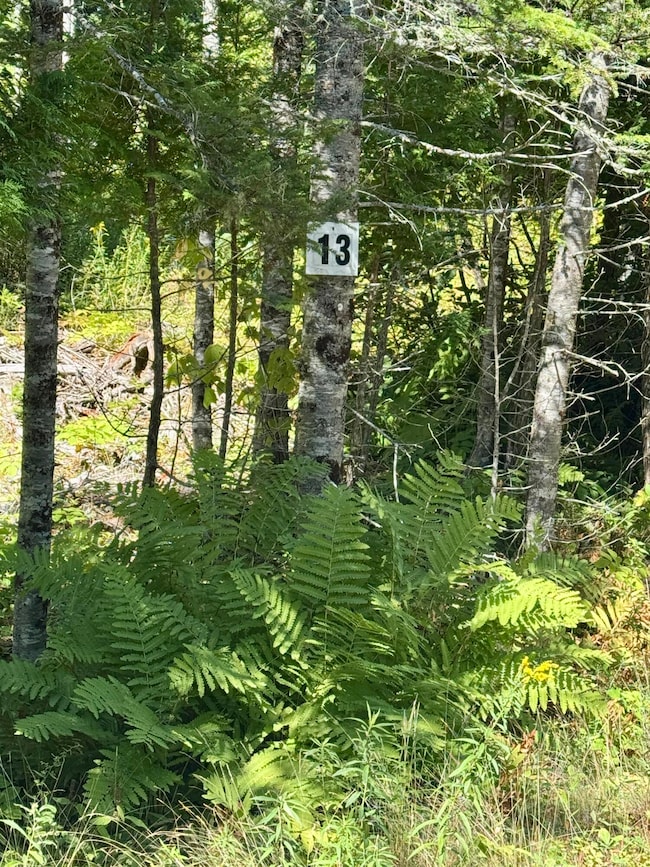 Lot 13 Red Rock Estates, Pembroke, ME 04666 - photo 7