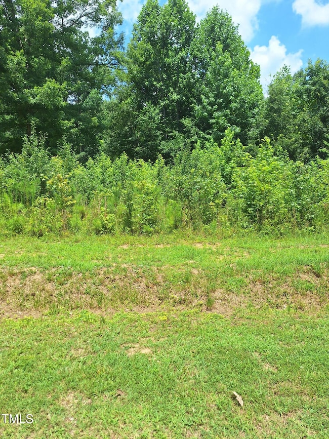 0 Carver St unit 10107506, Franklinton, NC 27525 - photo 6