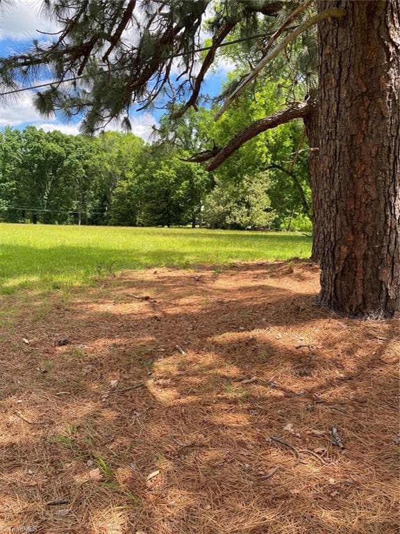 Front Yard