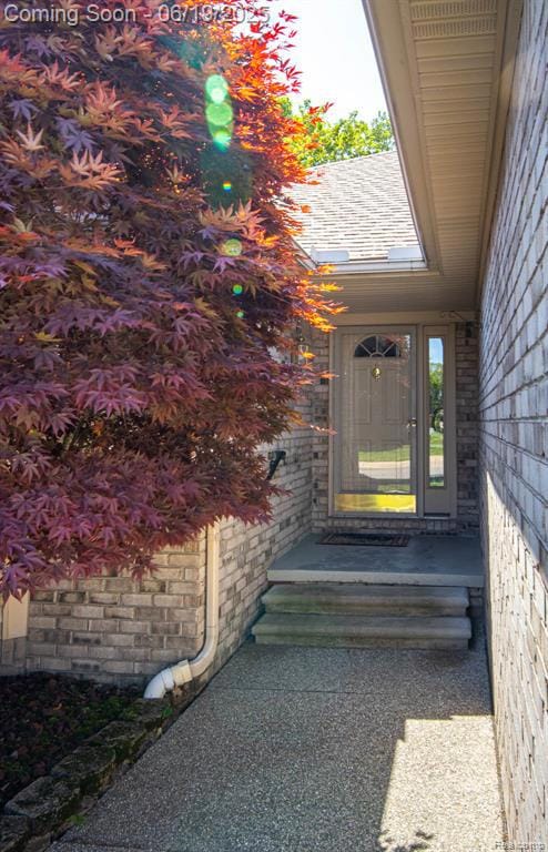 Beautiful Japanese Maple tree near the fornt covered porch