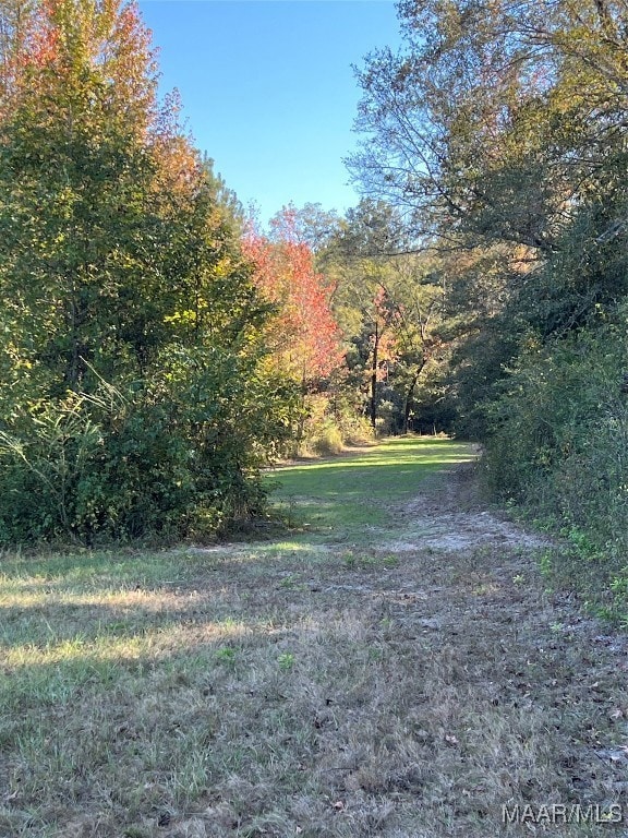 75 Highway 82 Hwy, Booth, AL 36064 - photo 3