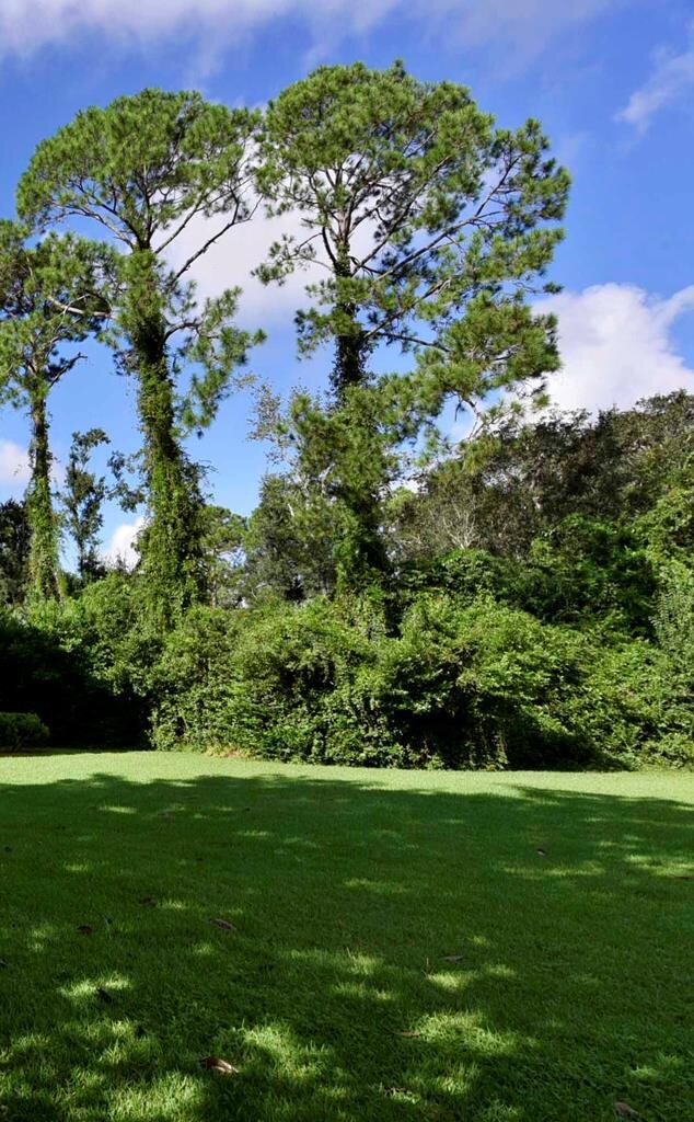 904 5th Ave, Albany, GA 31701 - photo 2