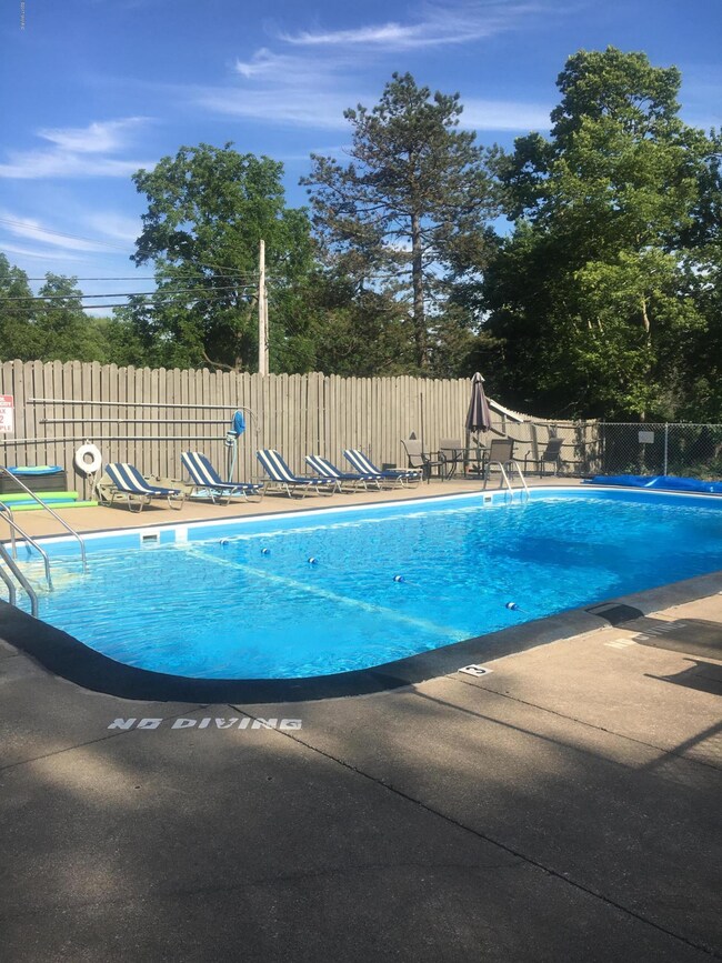 173 E Michigan Ave unit 206A, Three Rivers, MI 49093 - photo 3