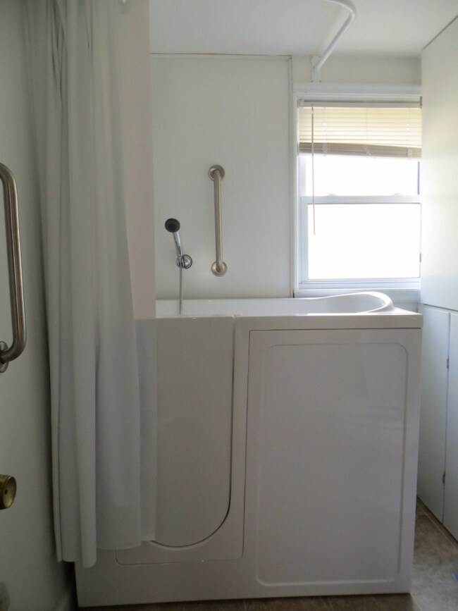 Walk-in bath shower