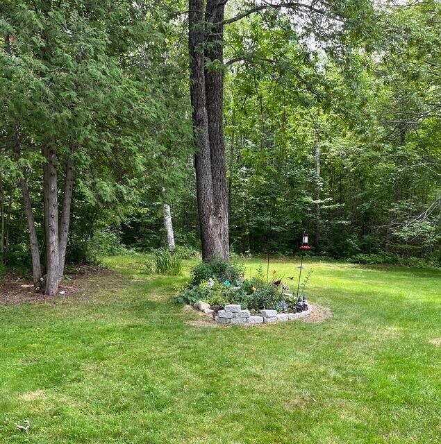 Goodman-backyard