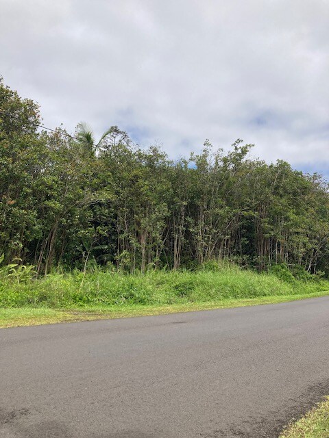 Buyer can cut a road through the trees