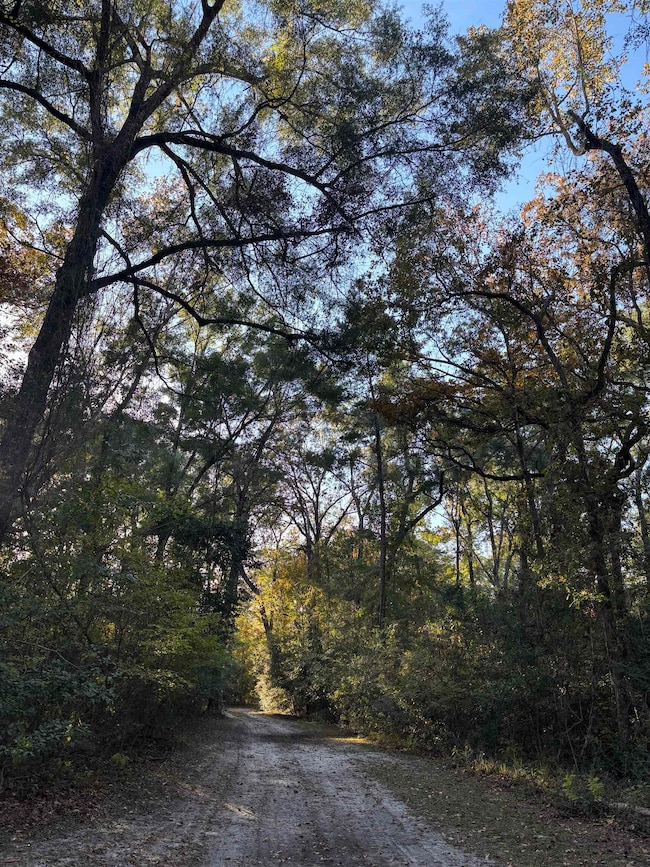 xxx Bluebird Ln, Crawfordville, FL 32327 - photo 2