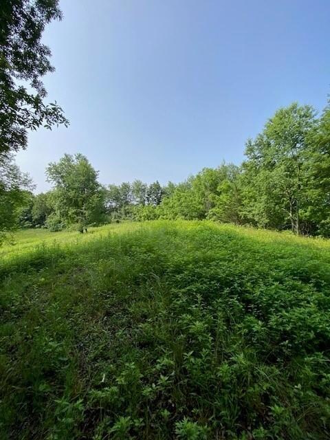 156 Schefflers Rd, Minisink, NY 10998 - photo 4