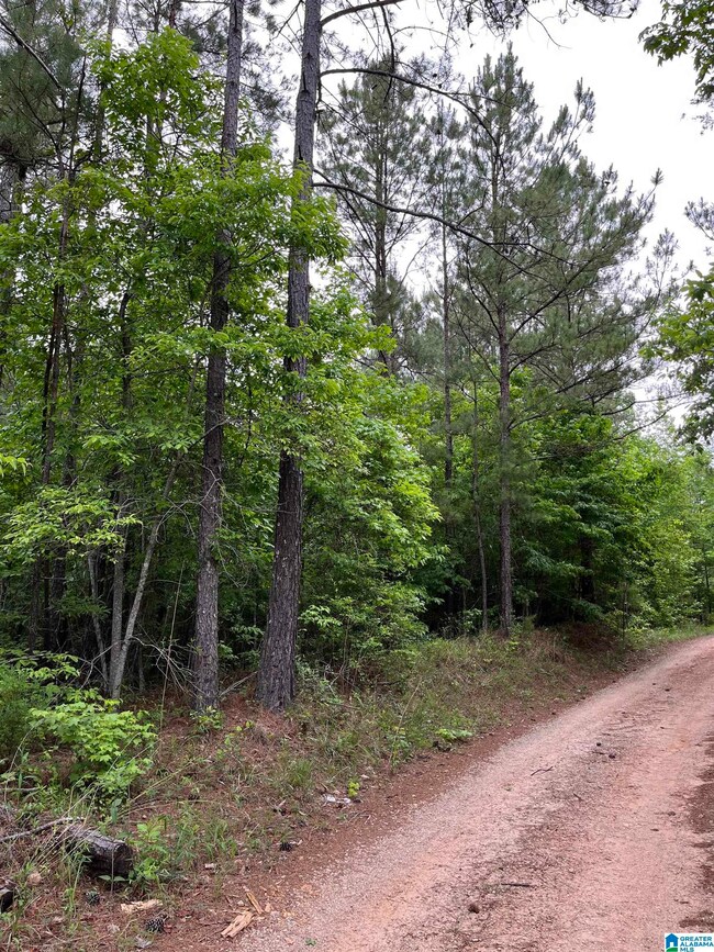 0 Cody Rd unit Lot 2 1321141, Roanoke, AL 36274 - photo 4