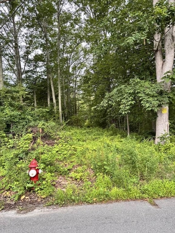 24-A 34-A Dow St, Pepperell, MA 01463 - photo 2