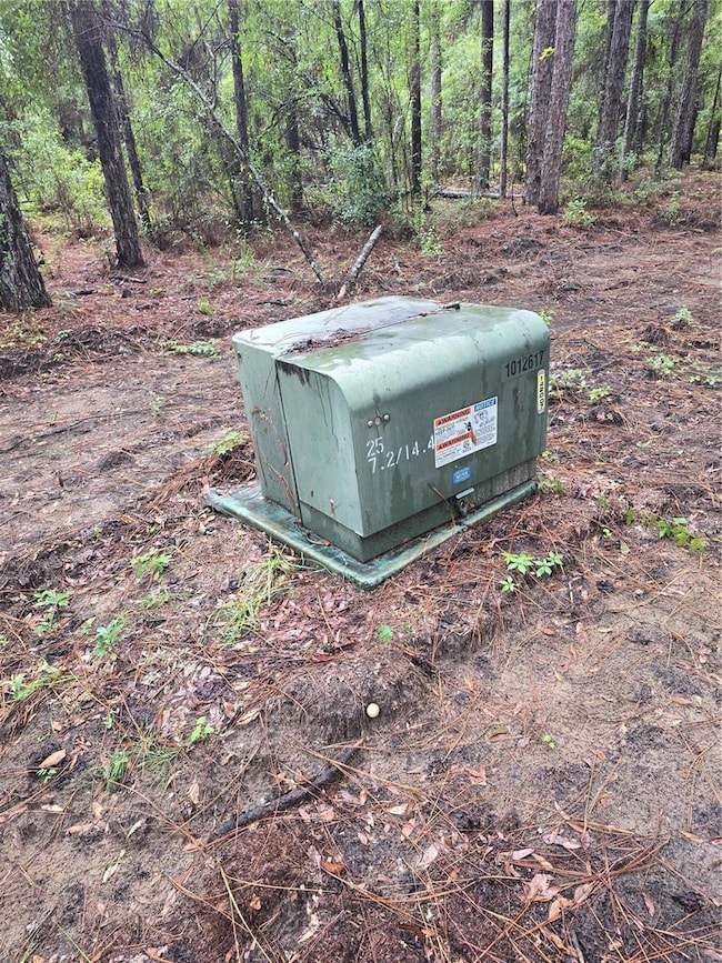 Lot 4 SW 194th Ave, Dunnellon, FL 34432 - photo 4