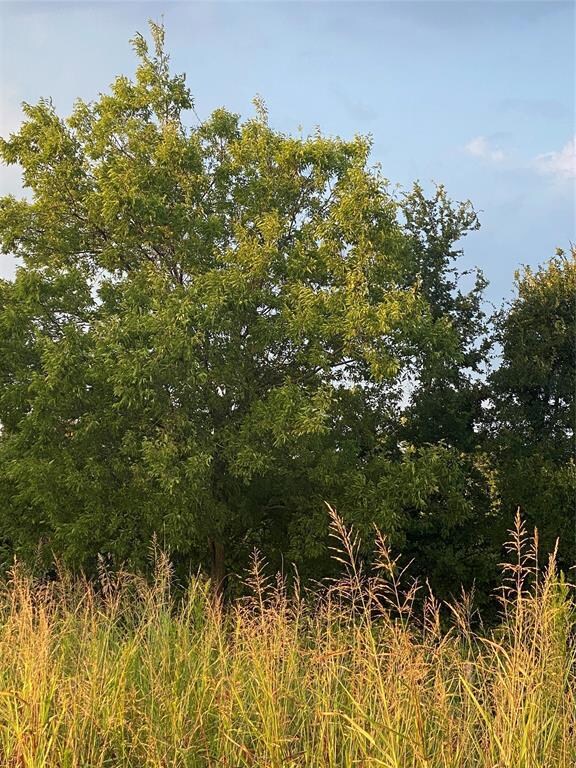 3751 Midway Rd, Weatherford, TX 76085 - photo 6