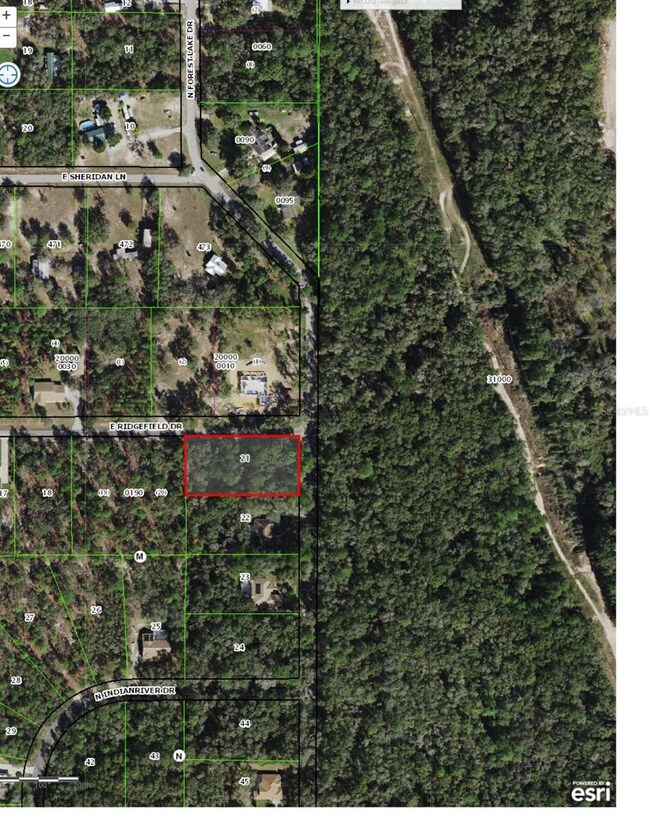 4428 N Forest Lake Dr, Hernando, FL 34442 - photo 2