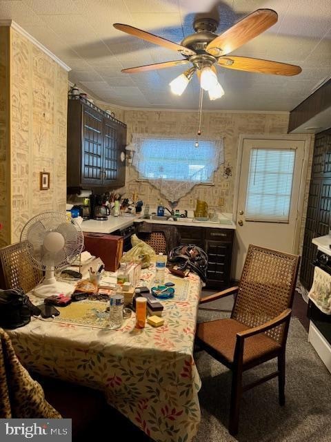 408 408 1/2 Chestnut St, Johnstown, PA 15906 - photo 6