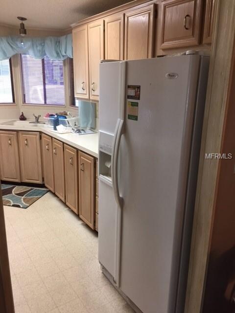 Kitchen Fridge and cabinets